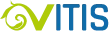 logo Vitis